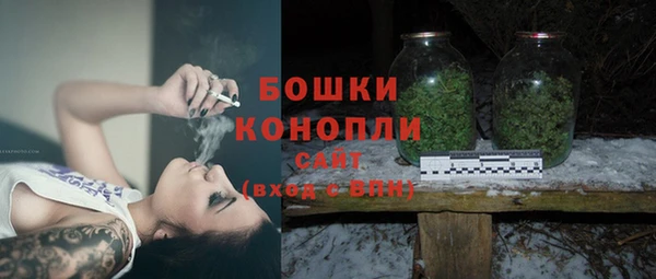 спиды Пересвет
