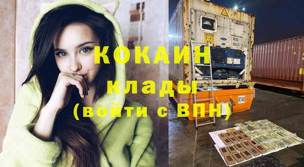 хмурый Пестово
