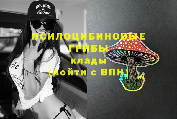 скорость Каменногорск