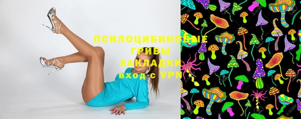 бошки Алзамай