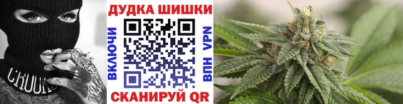Бошки марихуана конопля  Сосновый Бор 